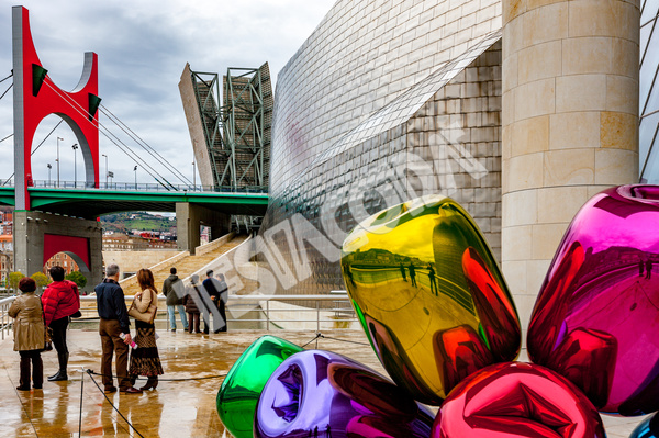 Guggenheim Museum in Bilbao