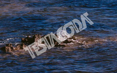 Sardinian Sea on rocks