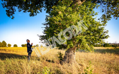 Senior botanist talking with the magic tree