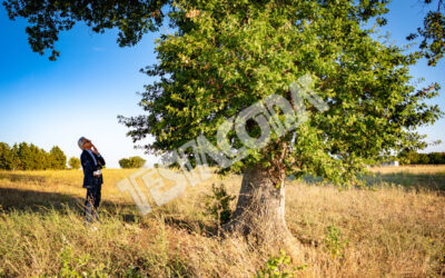 Senior botanist talking with the magic tree