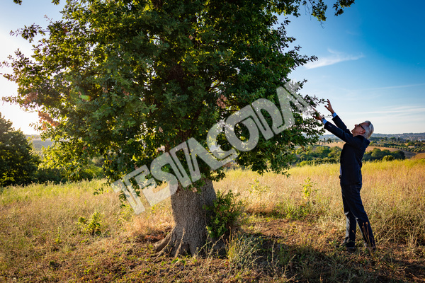 Senior Botanist touching leaves of the magic tree