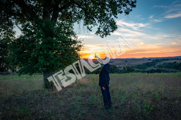 Senior Botanist and the magic tree at sunset