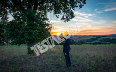 Senior Botanist talks to the magic tree