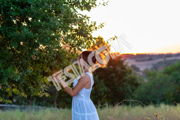 A pretty romantic young girl in profile with long blond tied hair, dressed in white, at sunset, touches the leaves of the magic tree in countryside