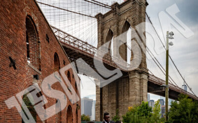 Wedding in Dumbo